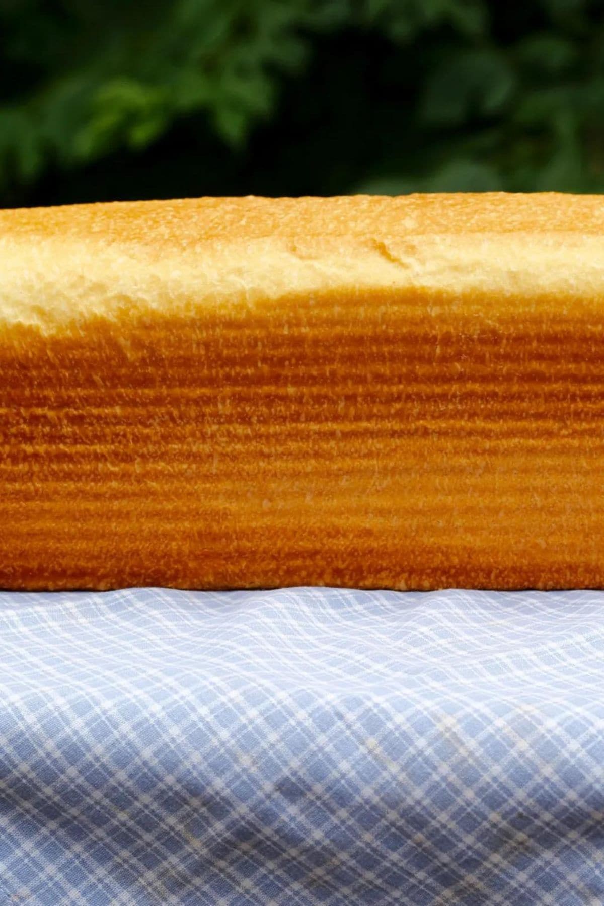 Large loaf of homemade white bread, uncut, sitting on a blue and white checked linen.