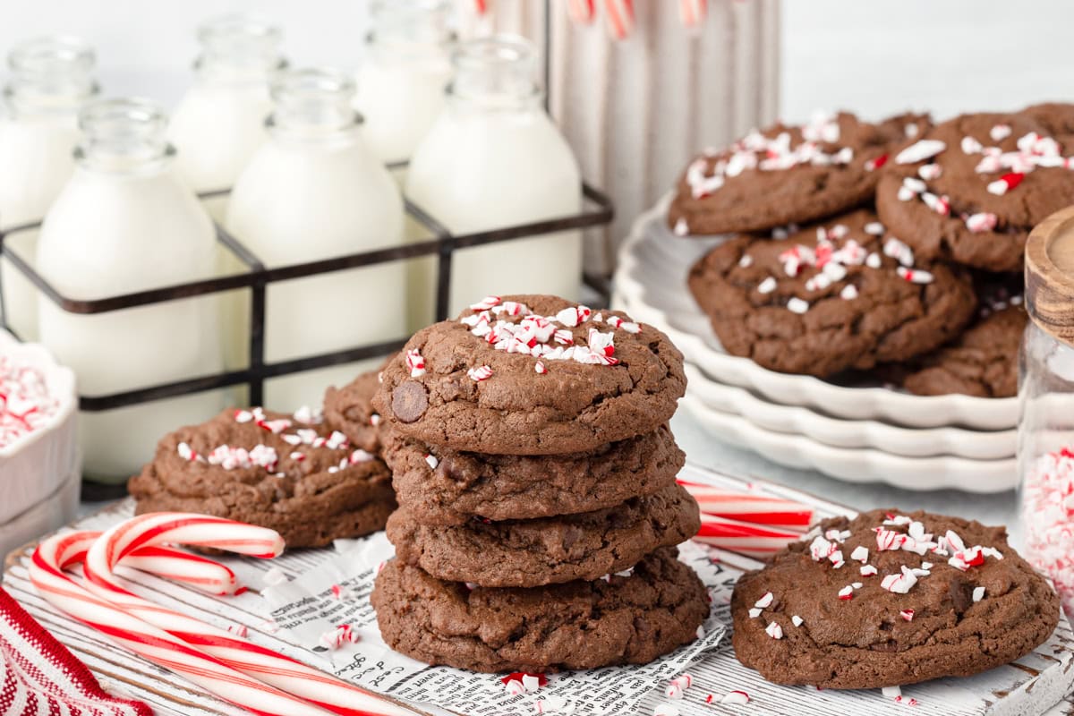 Sweet chocolate cookies topped with crushed peppermint candies for festive treats.