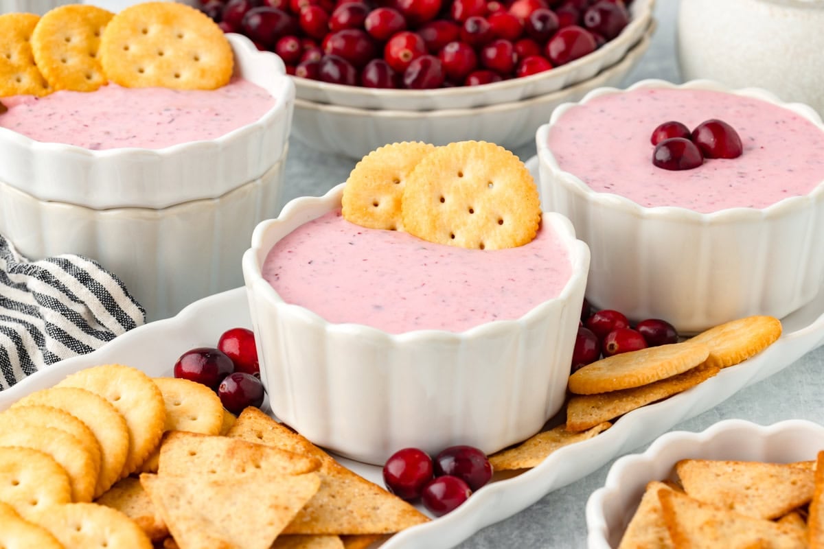 Creamy cranberry yogurt dip with crackers and fresh cranberries on a serving platter, perfect for a festive snack or appetizer.