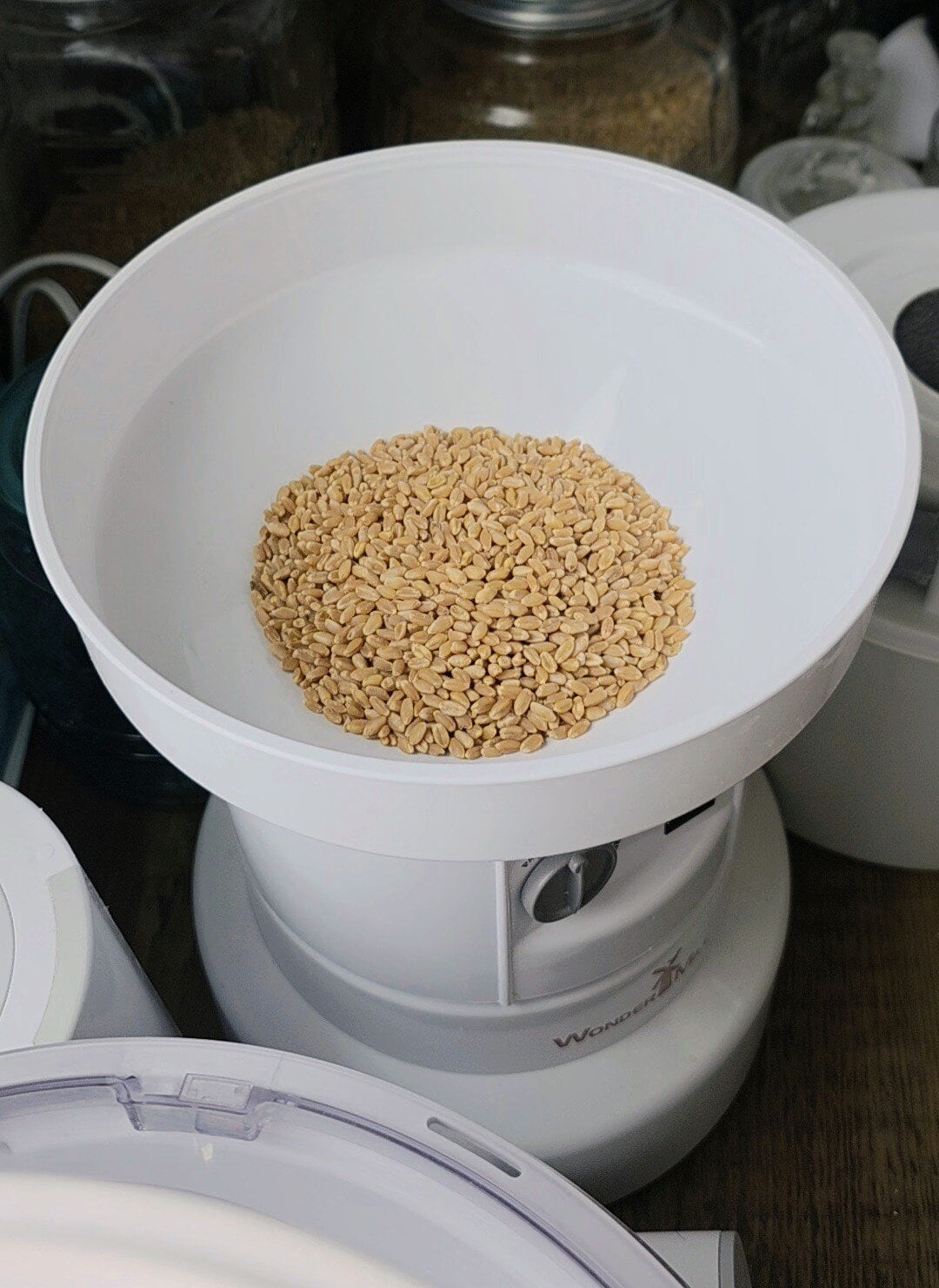 Wheat berries in a WonderMill grain mill before grinding into flour.