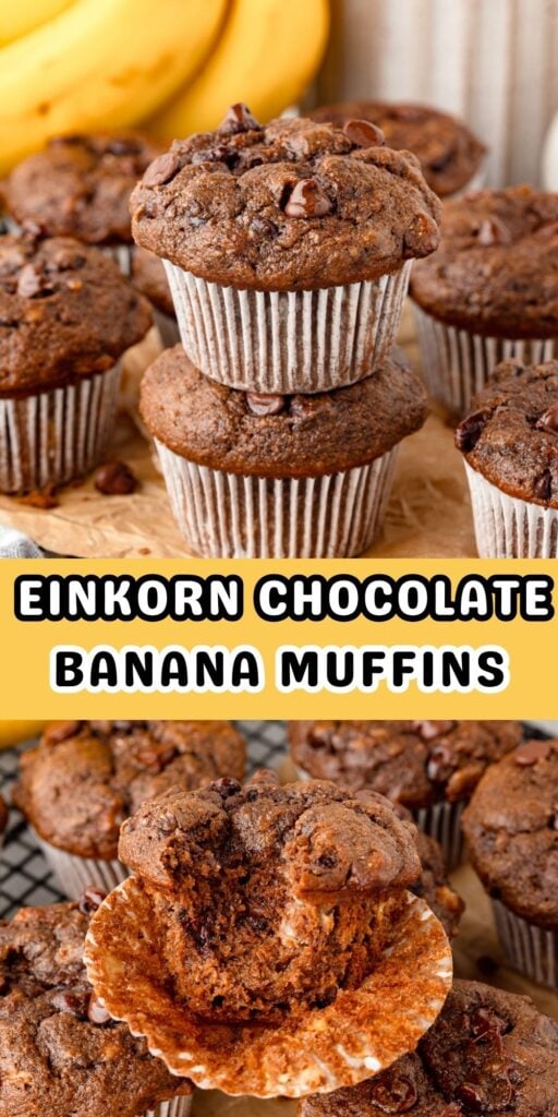 Einkorn Chocolate Banana Muffins stacked on top of each other.