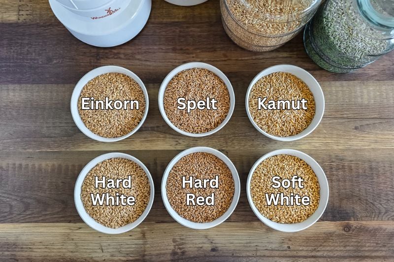 A selection of six bowls containing different types of rice grains, labeled Einkorn, Spelt, Kamut, H.