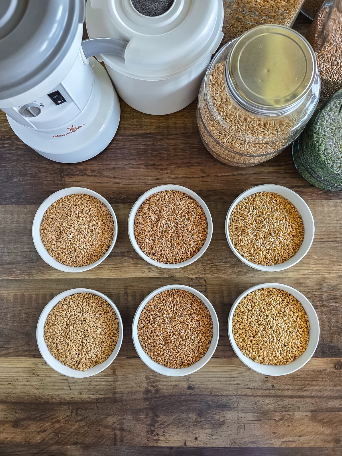 A variety of wheat berries in small white bowls on a wooden surface.