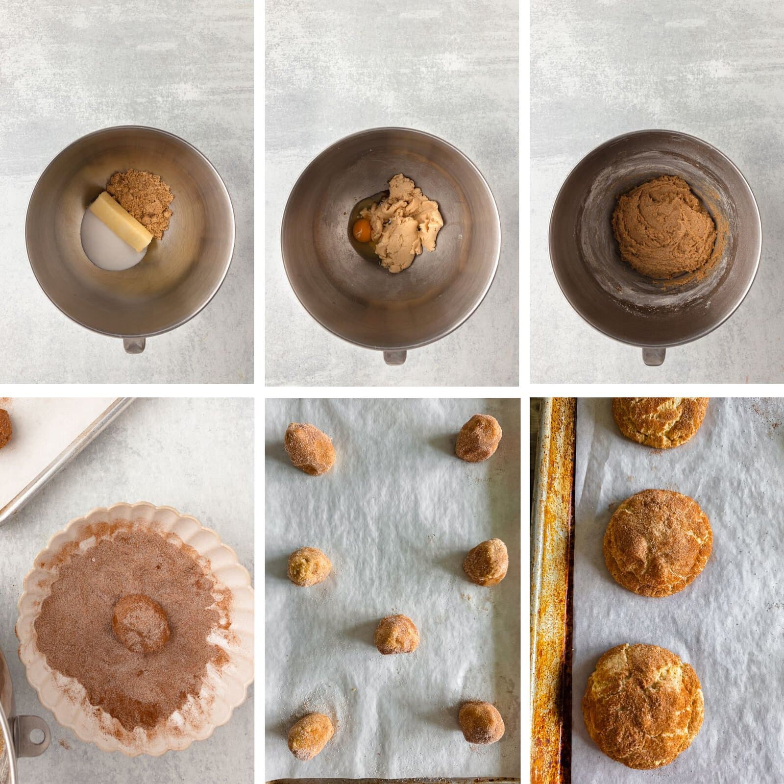 Snickerdoodle cookie dough and rolled cookies for Fresh Milled Flour Snickerdoodles.