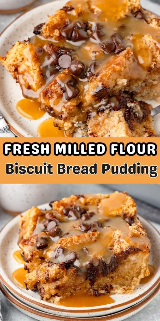 Biscuit bread pudding with chocolate chips and caramel sauce, creamy and baked.