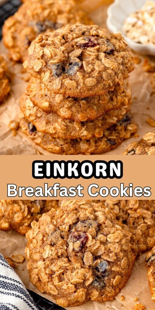 Stack of homemade Einkorn Breakfast Cookies made with freshly milled einkorn flour, oats, and dried cranberries.