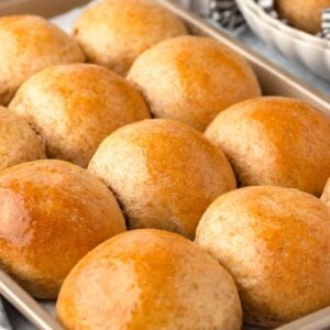 Fresh milled flour dinner rolls with golden crusts on a baking tray.