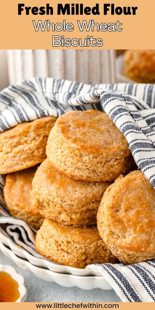 Whole wheat biscuits with a golden crispy crust and soft interior.
