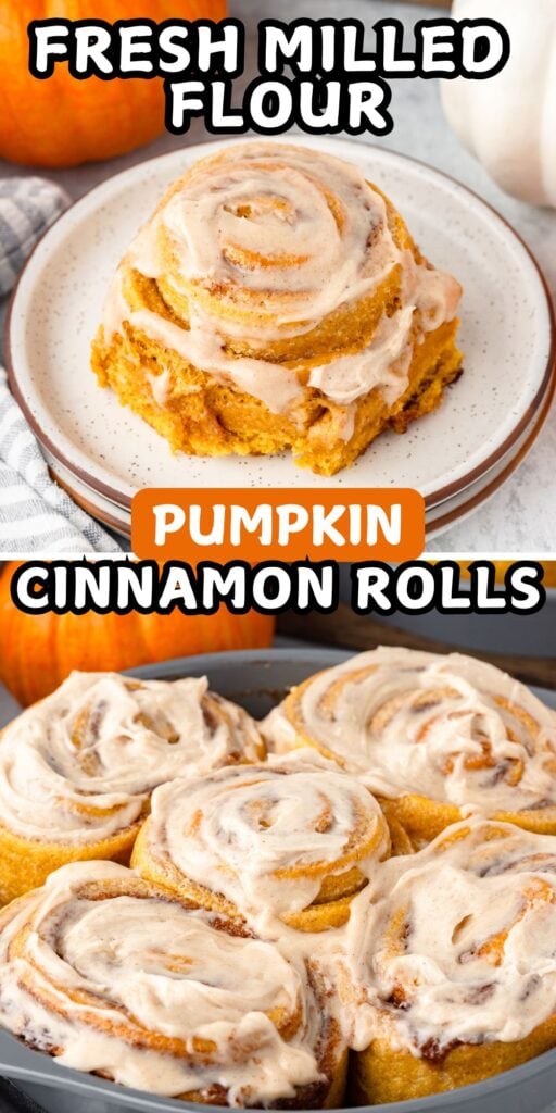 Pumpkin Cinnamon Rolls with Fresh Milled Flour.